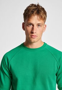 Sweatshirt vert avec un col rond et des manches raglan, présentant une texture lisse et un design minimaliste, sans motifs ni accents visibles.