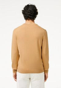 Maglione a maglia marrone chiaro, caratterizzato da polsini e orlo a costine, con una texture uniforme e una vestibilità rilassata. Vista posteriore con collo rotondo.