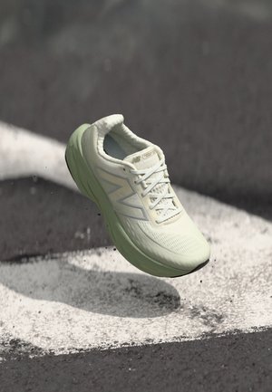 FRESH FOAM X 1080 V14 - Chaussures de running sur route - garter snake