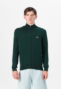 Zaļš zipa džemperis, kas izgatavots no mīksta materiāla. Tam ir augsta apkakle, ribotie aproces un neliels logo uz krūtīm. Šaurs piegriezums.