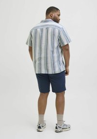 Camisa de manga corta con cuello, hecha de tejido ligero, con rayas verticales en azul y verde, combinada con pantalones cortos marinos y zapatillas deportivas.