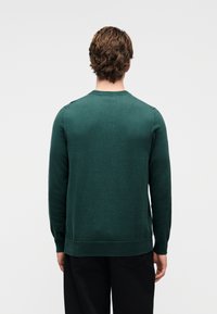 Πράσινο πλεκτό πουλόβερ με μακριά μανίκια, στρογγυλή λαιμόκοψη και ριμπ τελείωμα. Λείο ύφασμα, απλός σχεδιασμός, χωρίς ορατά μοτίβα ή διακοσμητικά στοιχεία.