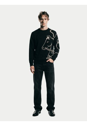 Ein Mann steht frontal und trägt einen schwarzen Pullover mit Pferdekopf- und Seildesign, schwarze Hose und schwarze Schuhe auf weißem Hintergrund.