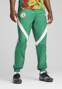 Zaļas sporta bikses, kas izgatavotas no gluda, viegla materiāla ar baltām diagonālām svītrām un apļveida logotipu kreisajā augšstilbā. Elastīgi rokasgabali.