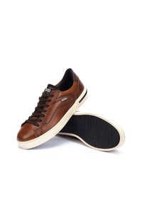 Pikolinos XATIVA - Baskets basses - brown