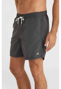 Donkergrijze zwemboxers van lichtgewicht stof. Voorzien van een elastische tailleband met een witte koord en een klein logo op de onderste zoom.