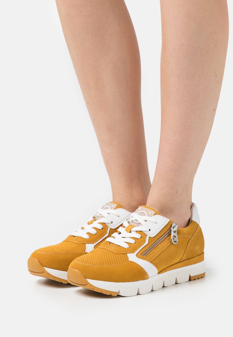 Marco Tozzi BY GUIDO MARIA KRETSCHMER - Sneaker low - saffron comb