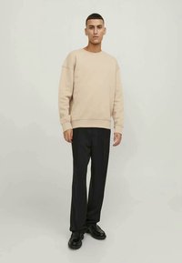 Beige sweatshirt with crew neck and ribbed cuffs, paired with black straight-leg trousers and black shoes. Smooth texture, simple design.