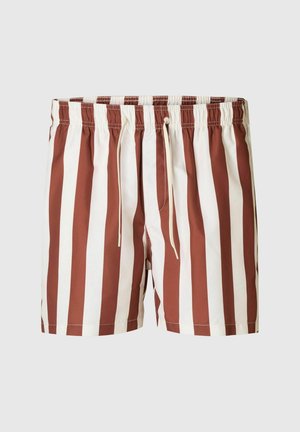 Men's swim trunks featuring vertical stripes in brown and white, made from a lightweight material, with an elastic waistband and drawstring.