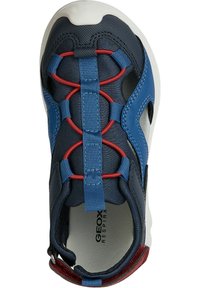 Zapato azul marino con parte superior de malla transpirable, cordones elásticos rojos y suela de goma blanca. Presenta una cinta en la parte trasera para facilitar el uso.