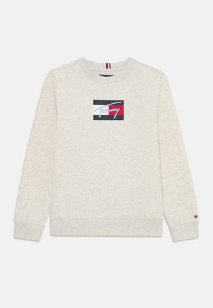 SCRIPT FLAG UNISEX - Sudadera - grey