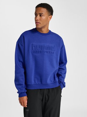 Mand iført en blå hummel sportssweatshirt og sorte bukser, der ser mod venstre mod en ensartet lys baggrund.