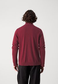 Selected Homme SLHBERG HALF ZIP  - Jumper - syrah