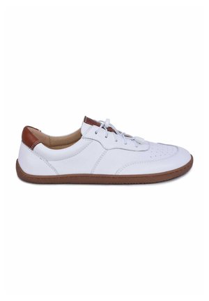 - Sneakersy niskie