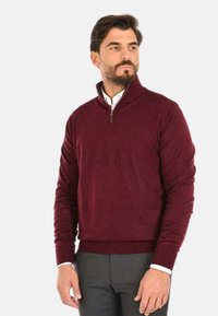 Maglione borgogna con zip a quarti realizzato in tessuto morbido. Presenta maniche lunghe, polsini a coste e un colletto elegante. Indossato sopra una camicia bianca.