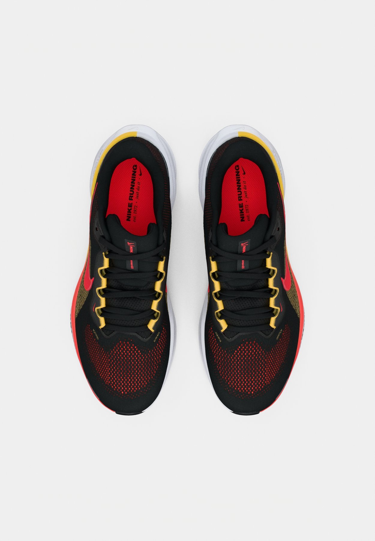 PEGASUS 41