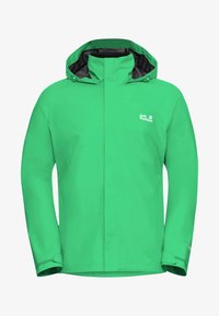 Unausgewählt, lizard