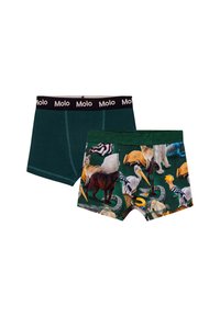 Molo JUSTIN BOTTOM 2 PACK - Boxeri - ponderosa mix