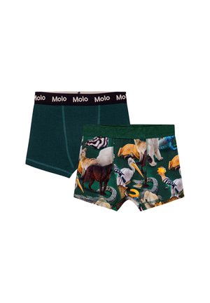 JUSTIN BOTTOM 2 PACK - Boxeri - ponderosa mix