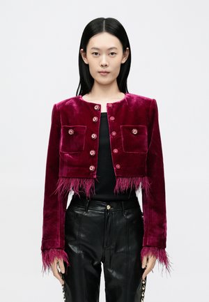 EVELINA JACKET - Blejzer - red plum