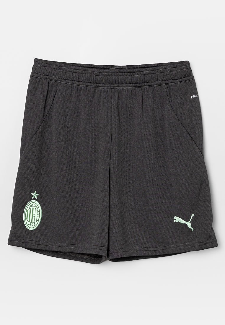 Puma Korte broeken donkergrijs