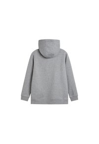 Felpa con cappuccio grigia chiara, realizzata in morbido misto cotone, caratterizzata da una vestibilità ampia, maniche lunghe e polsini e orlo a costine.