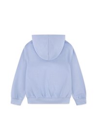 Felpa con cappuccio azzurro chiaro a maniche lunghe, con polsini e vita elasticizzati, mostrata da dietro su uno sfondo bianco.