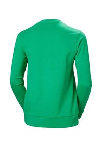 Sudadera verde con cuello redondo y mangas largas. Fabricada con un tejido suave, presenta una textura lisa y puños y dobladillo acanalados.