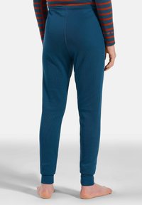 Blue ribbed cotton pants with a fitted design, elastic waistband, and cuffed ankles, shown from the back with a plain background.