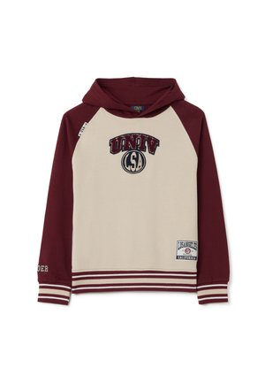 Hoodie met beige voorkant en kastanjebruine mouwen, gestreepte manchetten en onderrand, met patches van "UNIV LSA" en "Los Angeles California".