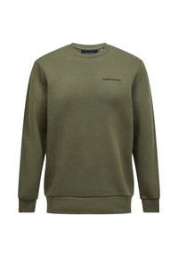 Olijfgroen sweatshirt gemaakt van een zachte stof, met een ronde hals, lange mouwen en subtiele logo-borduring op de borst.