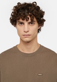 Dickies CLANCY HEAVYWEIGHT SS - T-shirt basic - mushroom