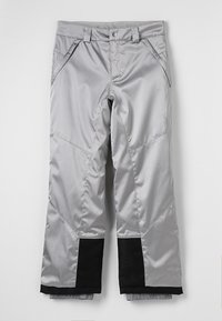 Spyder Pantalón de nieve - silver-coloured