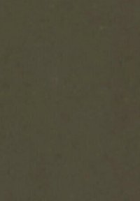 Tessuto verde oliva scuro con una texture liscia e opaca, che mostra una superficie uniforme senza pattern o dettagli notevoli.