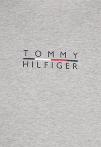 Camiseta de algodón gris con el logo de "TOMMY HILFIGER" en azul marino, blanco y rojo. El logo está centrado y rodeado de franjas horizontales de color.
