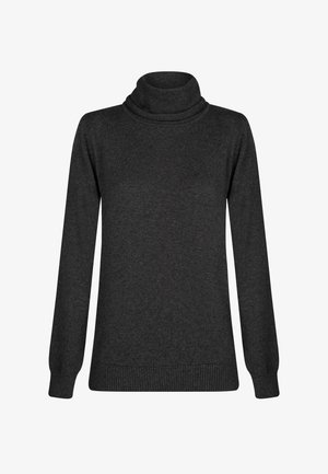 Ciemnoszary sweter z kołnierzem typu rollneck, z długimi rękawami, ściągaczami na końcach i u dołu, wykonany z miękkiego, teksturowanego materiału. Prosty i dopasowany krój.