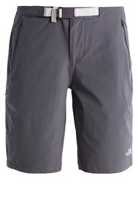 Grå herrshorts tillverkade av lättviktsmaterial, med en platt midja med bälte, två sidofickor och en liten logotyp vid fållen.