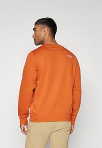 The North Face M DREW PEAK REGULAR CREW - Mikina - earthen copper