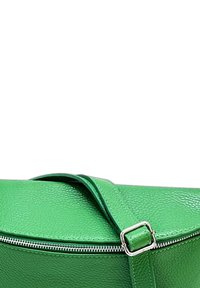 Groene leren schoudertas met een gestructureerde afwerking, voorzien van een zilveren rits en een verstelbare schouderband. Strak, minimalistisch ontwerp met een gebogen vorm.