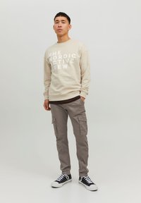 Jack & Jones JPSTPAUL FLAKE - Pantalones cargo - dark brown