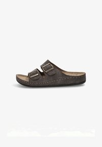 No seleccionado, brown