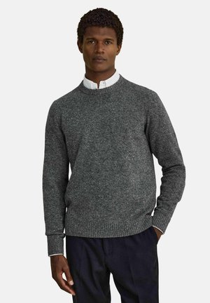 Mand iført en grå strikket sweater over en hvid skjorte med krave og mørke bukser, stående med den ene hånd i lommen mod en ensfarvet baggrund.