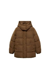 Winter coat - brown