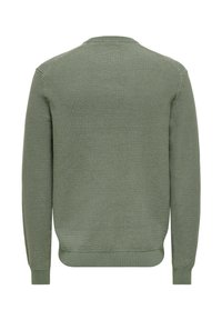 Pull tricoté vert olive avec une texture côtelée, manches longues et poignets ajustés, présenté de dos sur fond blanc.