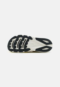 Altra VANISH CARBON 2 - Bėgimo batai plentui - gray/lime