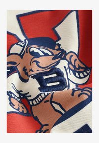 Unselected, white varsity bear