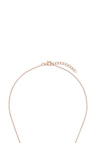 Halsband av roséguld med en delikat design, som har en lås och en justerbar längd med en extra kedjelänk.