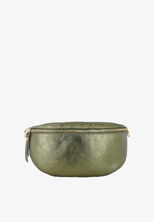 Pequeña bolsa de cuero verde oliva metálico con cremallera dorada y forma redondeada sobre un fondo blanco.