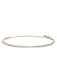 Bracciale Daniel Wellington Donna – Link Jewelry, Oro Rosa, Acciaio Inox, 185 Mm