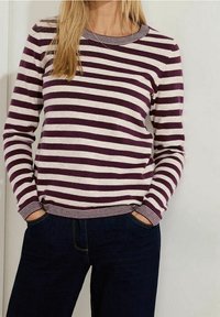 Gestreifter Pullover in Dunkellila und Creme. Mit Rundhalsausschnitt und gerippten Bündchen, kombiniert mit dunklen Jeans. Glatte Textur.
